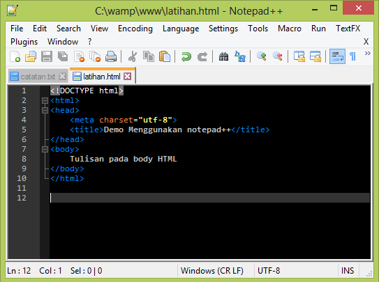 notepad++ text editor