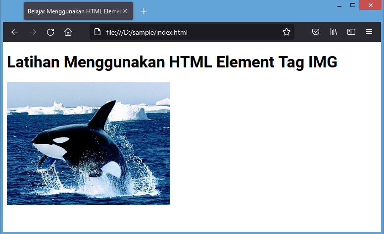 html element tag img